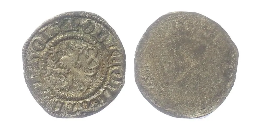 Diepholz, Conrad VIII., 1493 - 1514 — 1