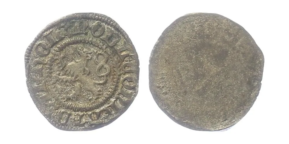 Diepholz, Conrad VIII., 1493 - 1514 — 1