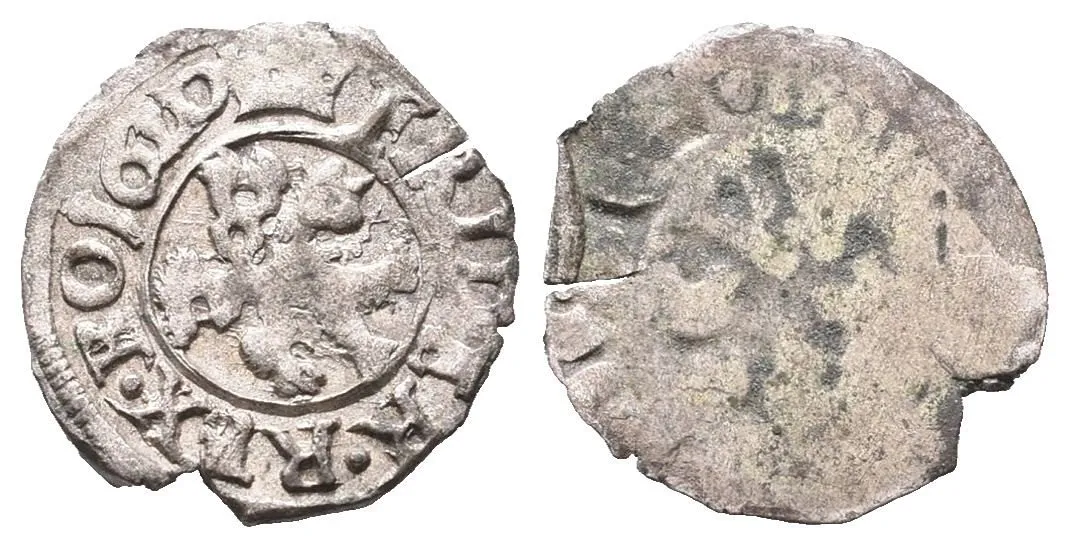 Fridrich Falcký, 1619 - 1620 — 1