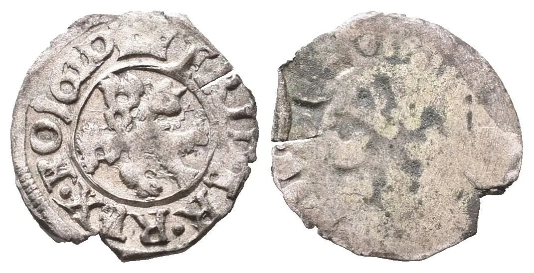 Fridrich Falcký, 1619 - 1620 — 1
