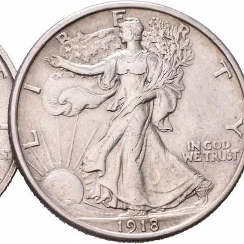 1/2 Dollar 1918, 1918 S, KM.142, pěkná zachovalost, patina, rysky_2 ks
