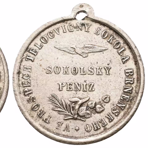 AE Medaile b.l. - Sokolský peníz, ve prospěch tělocvičny. CuNi 23 mm,