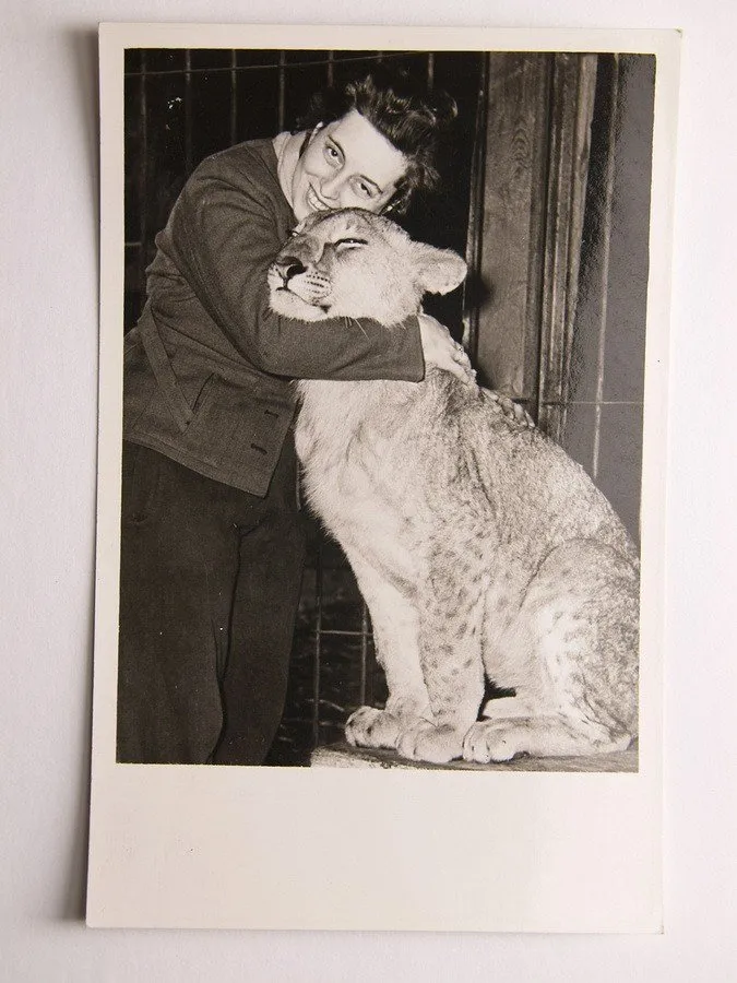 Fauna, zvířata, živočichové — 1
