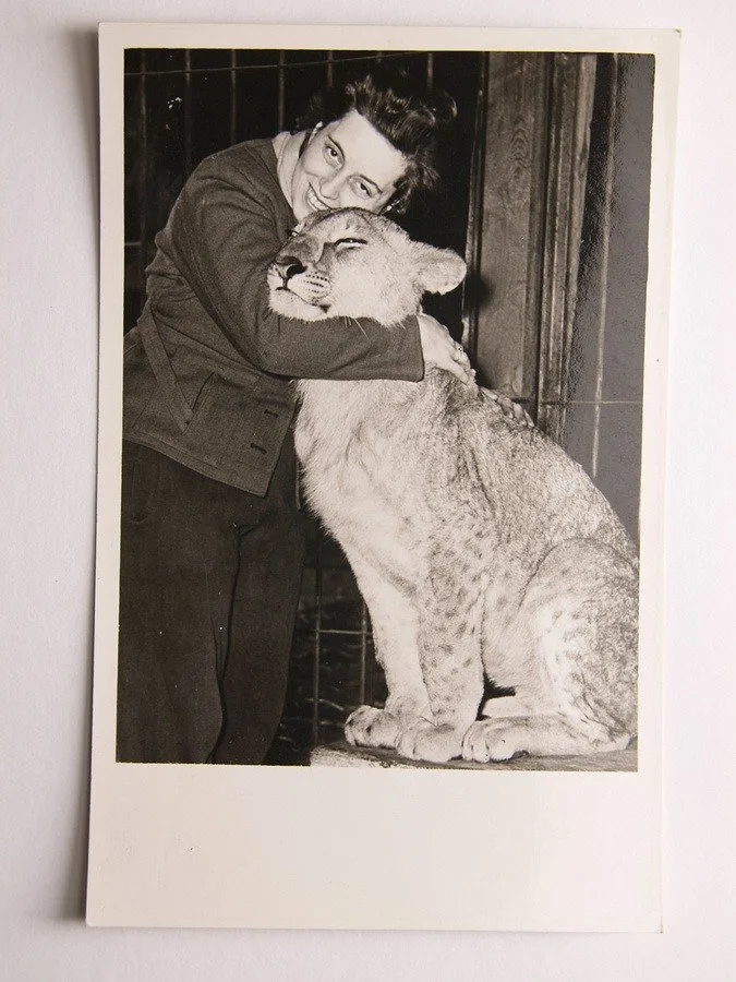 Fauna, zvířata, živočichové — 1