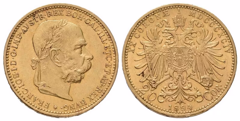 20 Koruna 1894