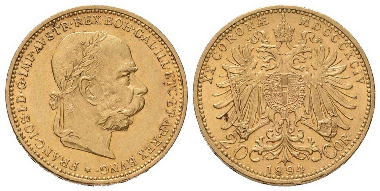 20 Koruna 1894