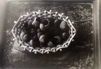 Svoboda Jan – Nejsmutnější zátiší 1968