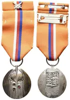 Česká a Slovenská federativní republika — 1