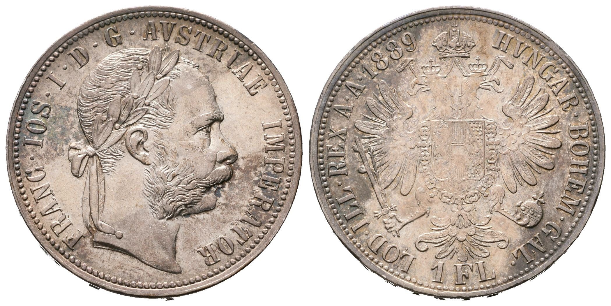 Zlatník 1889