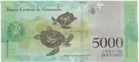 Venezuela, 5000 Bolivares 2016, anulát - vzor, C 00000000, P.97asC - fotografie 2