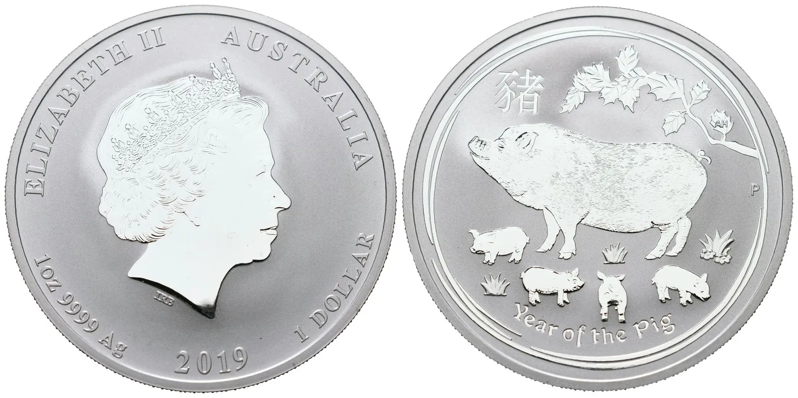 Austrálie, 1 Dollar 2019 -  1 Oz (Rok Prasete)