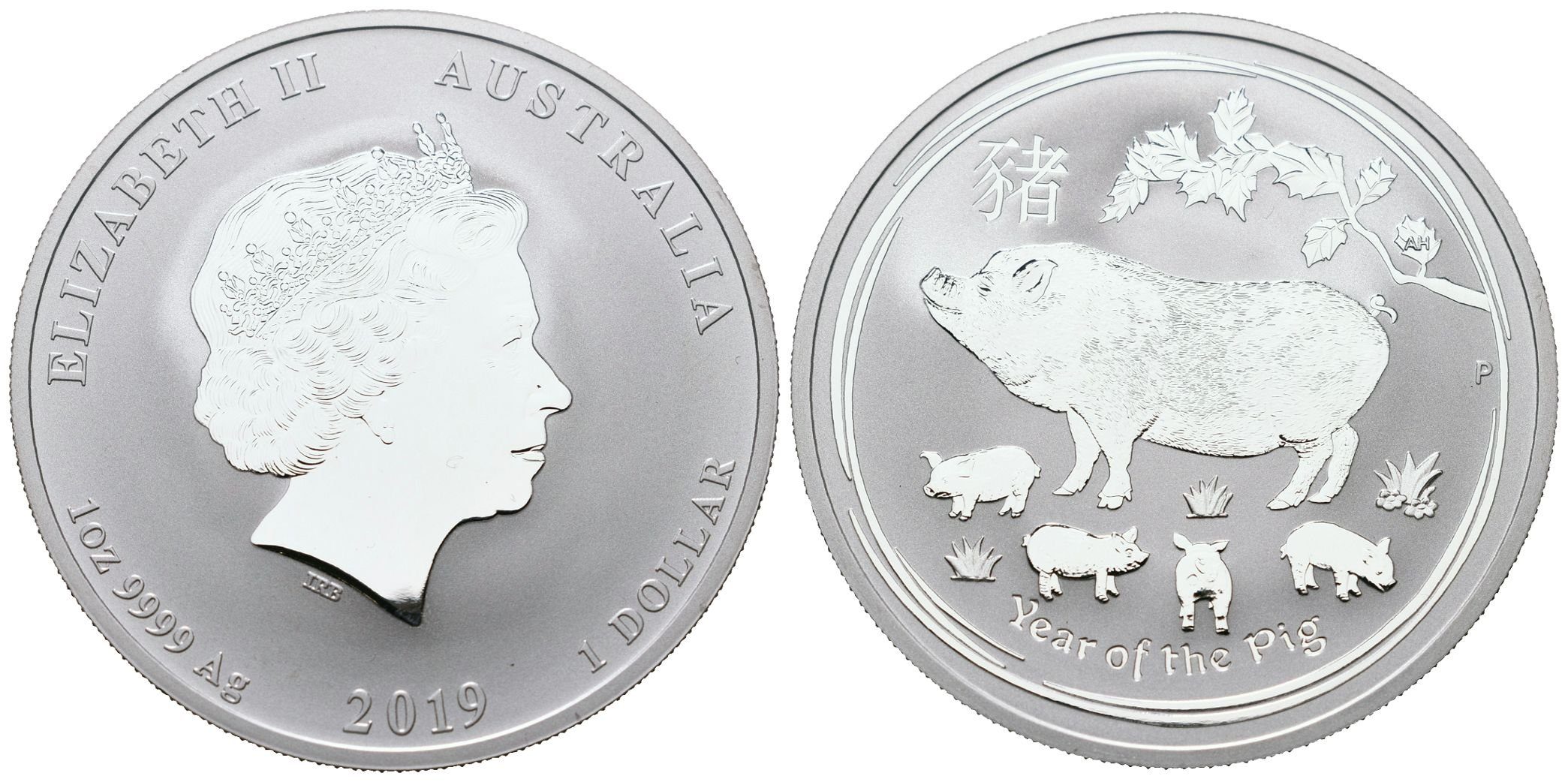 Austrálie, 1 Dollar 2019 -  1 Oz (Rok Prasete)