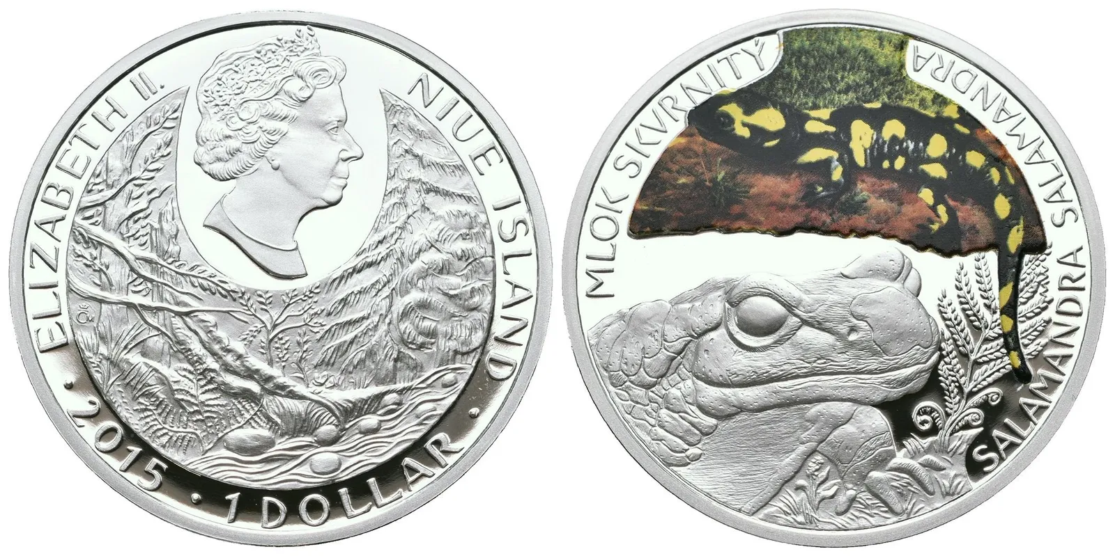 Wichnerová Majka - Mlok skvrnitý