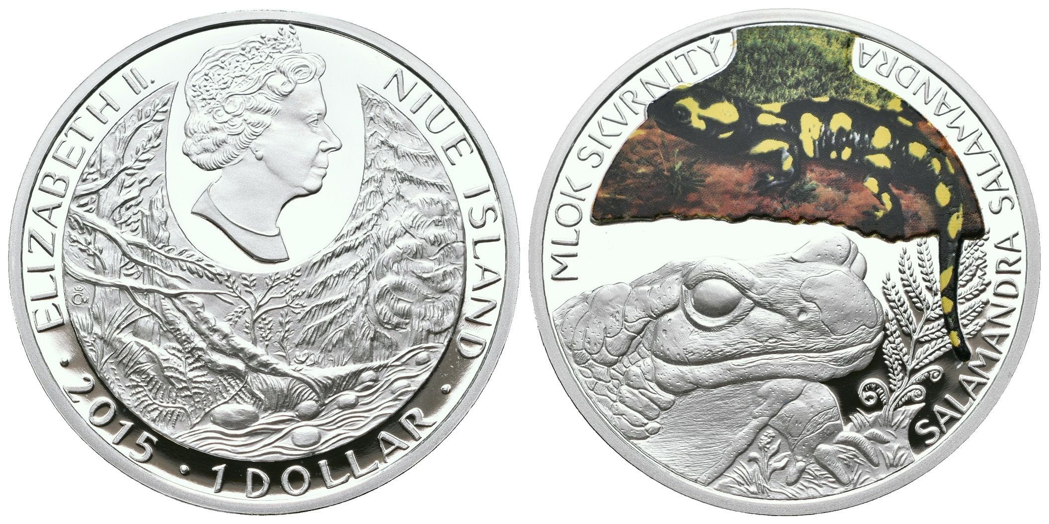 Wichnerová Majka - Mlok skvrnitý