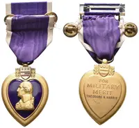 USA, Purpurové srdce - fotografie 2