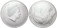 Austrálie, 30 Dollar 2011 - Australian Koala - fotografie 2