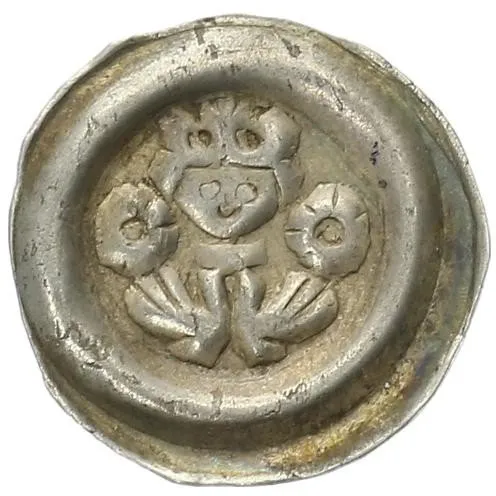 Přemysl Otakar II., 1253 - 1278 — 1