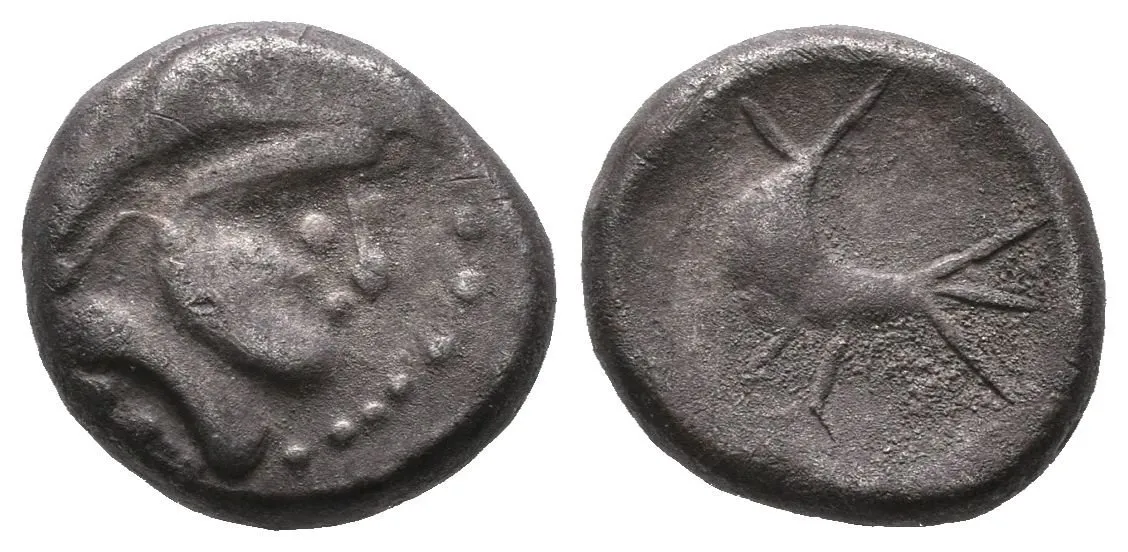 Drachma, typ Zemplín, Stylizovaná hlava zprava / Silně stylizovaný kůň nebo — 1