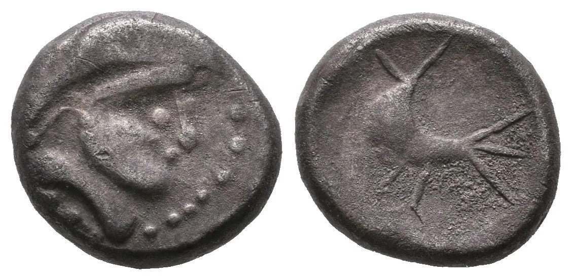 Drachma, typ Zemplín, Stylizovaná hlava zprava / Silně stylizovaný kůň nebo — 1