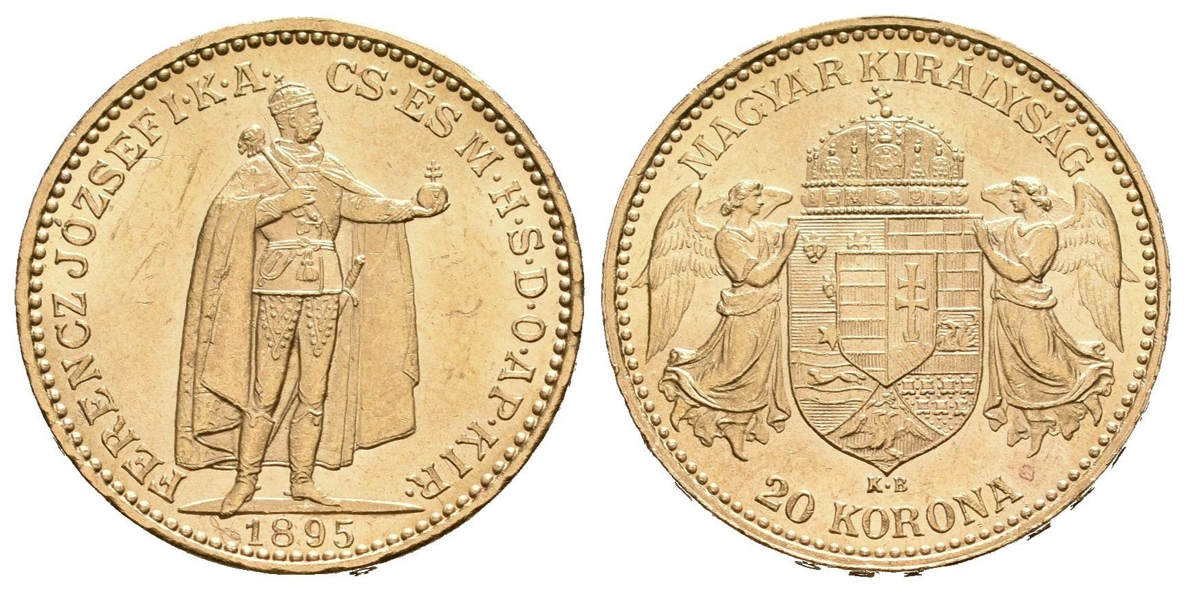 20 Koruna 1895 KB