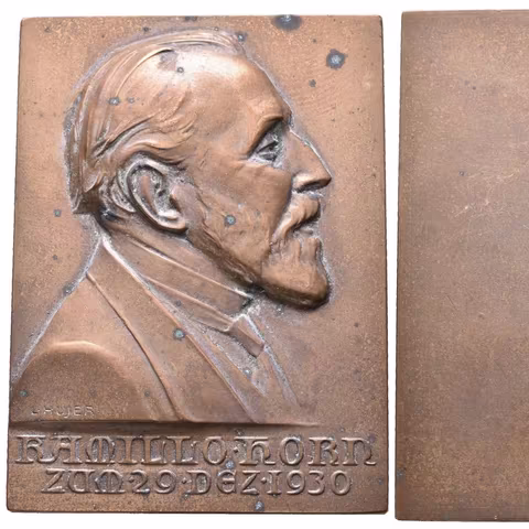 AE Plaketa 1930 - Kamillo Horn. Br 70 x 52 mm, oxidační tečky