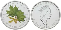 Kanada, 5 Dollars 2002 - Maple Leaf Coloured Coin - fotografie 6