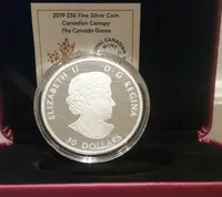 Kanada, 30 Dollars 2019 - Canadian Canopy - fotografie 5