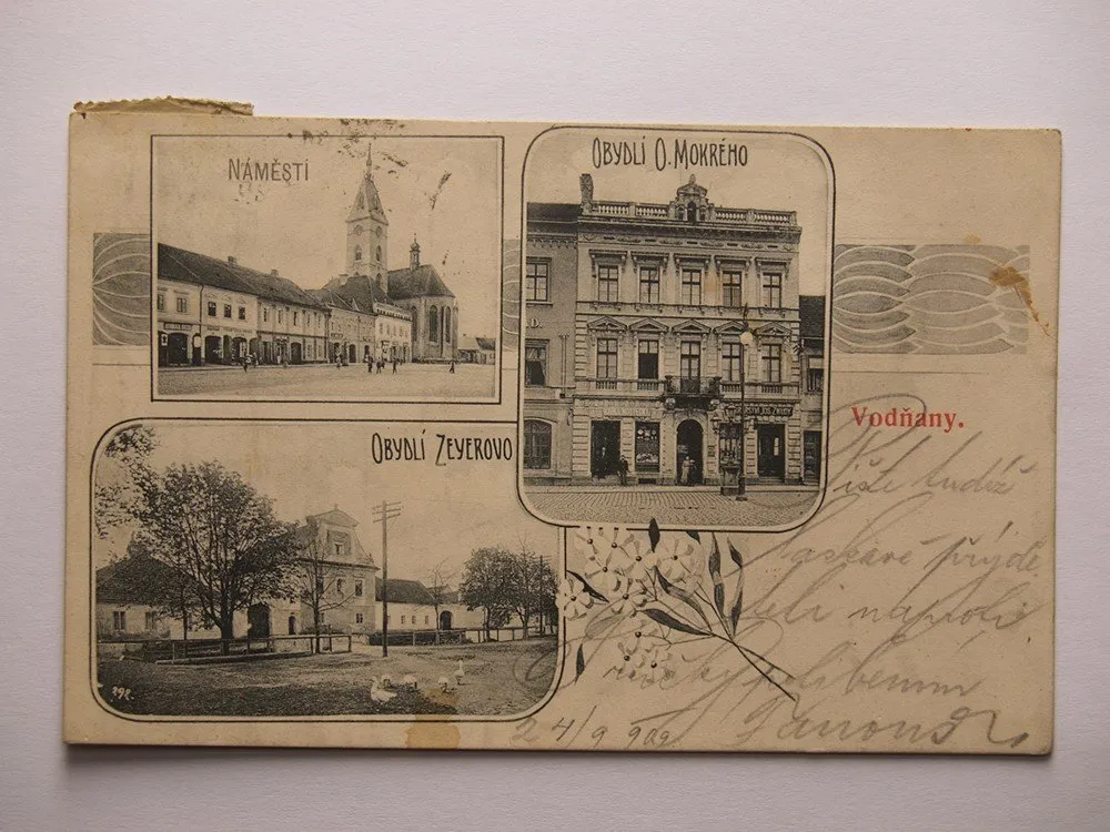 Jižní Čechy,  Vodňany, okr. Strakonice — 1