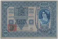 1000 Koruna 1902 (1919), šedozelený podtisk, kolkovaná, Hej.6a