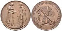 AE Medaile 1898 - Záhlinicko Kvasnická hospodářská jednota, Záslužná cena. — 1