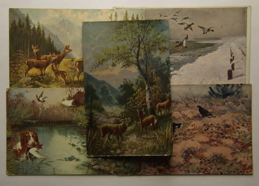 Žánr, motiv - sbírky, loty, partie — 1