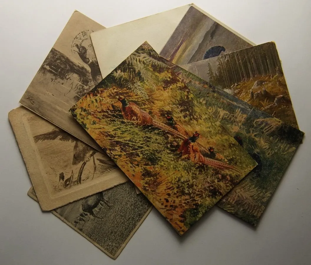 Žánr, motiv - sbírky, loty, partie — 1