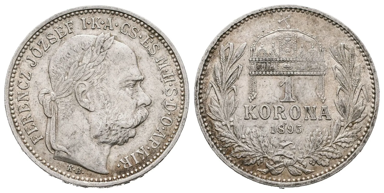 1 Koruna 1895 KB