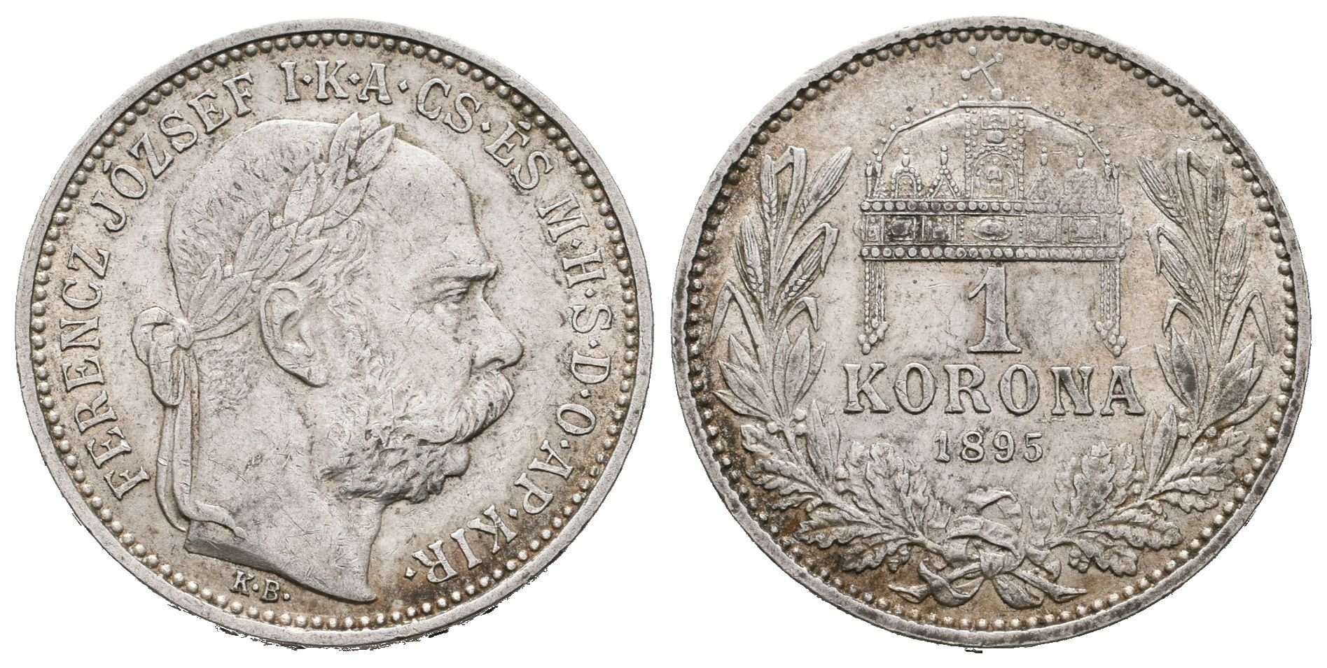 1 Koruna 1895 KB