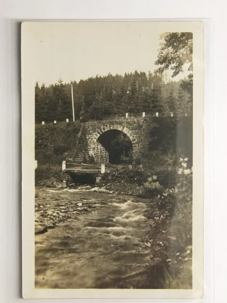 okr. Rychnov nad Kněžnou — 1