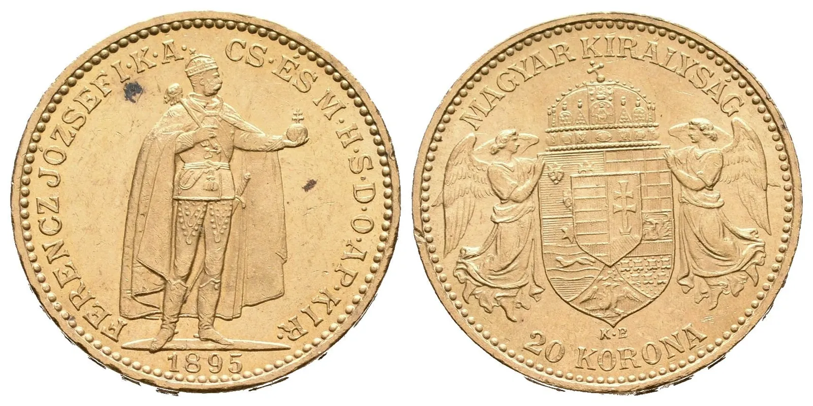 20 Koruna 1895 KB