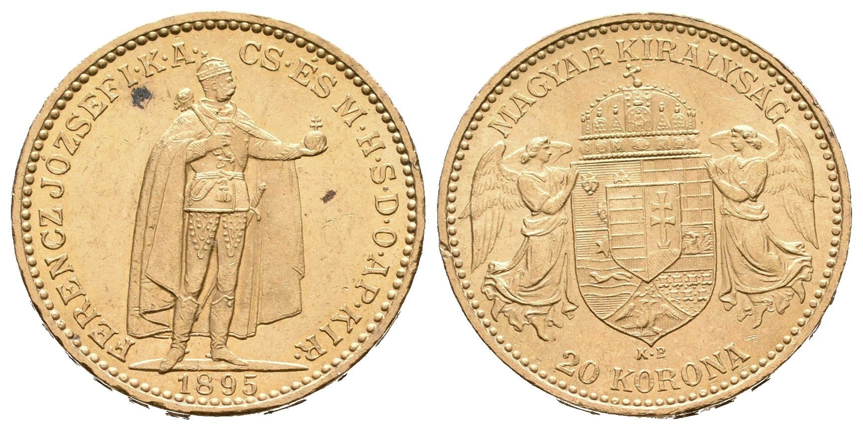 20 Koruna 1895 KB