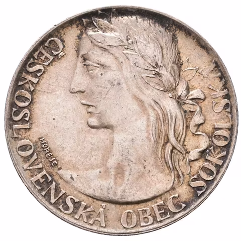 AR Medaile 1948 - Na paměť XI. všesokolského sletu v Praze. Ag 0,500 (13,93 g),