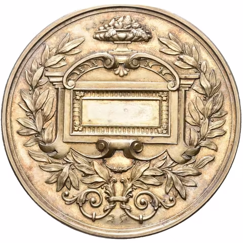 AR Medaile b.l. - C. k. Zahranický spolek ve Vídni, záslužná medaile.
