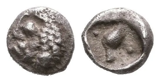 Tetartemorion, 510 - 496 př. Kr., Lví hlava vpravo / Stojící pták vpravo v inkusním čtverci, — 1