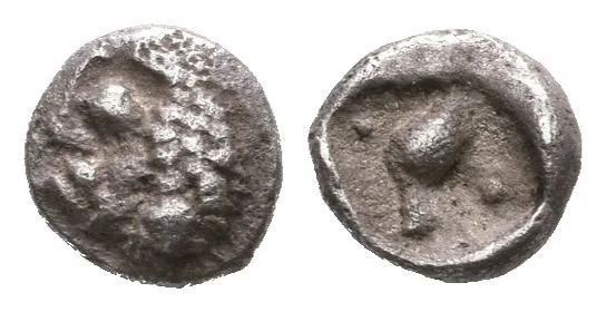 Tetartemorion, 510 - 496 př. Kr., Lví hlava vpravo / Stojící pták vpravo v inkusním čtverci, — 1