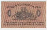 Československo, 1 Koruna 1919, série 230, Hej.7a - fotografie 2
