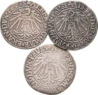 Prusko, Albrecht von Brandenburg, 1525 - 1568 — 2