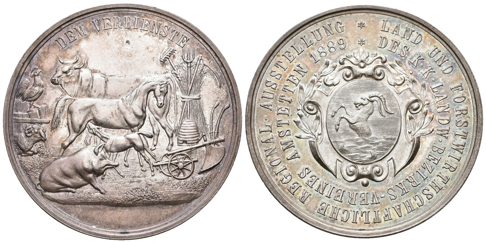 AR Medaile 1899 - Zemědělská a lesnická regionální výstava — 1
