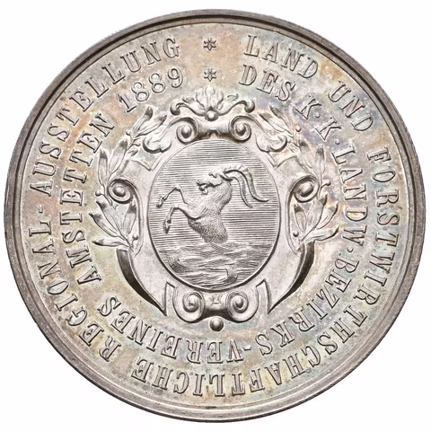 AR Medaile 1899 - Zemědělská a lesnická regionální výstava