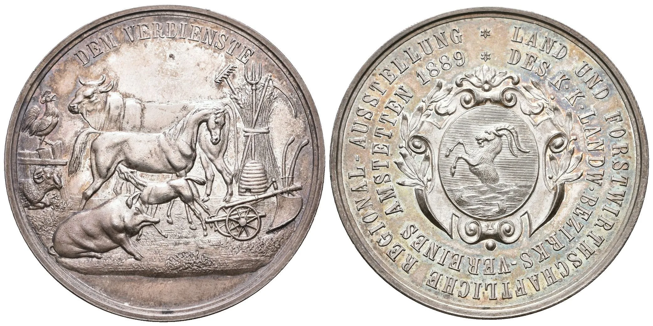 AR Medaile 1899 - Zemědělská a lesnická regionální výstava — 1