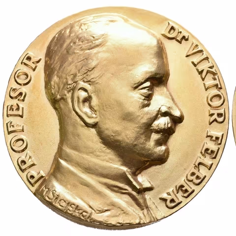 AE Medaile b.l. - Prof. Dr. Viktor Felber, ČVUT. Pozlac. Bronz 80 mm