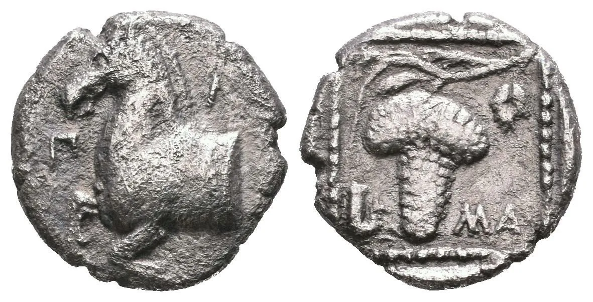Drachma, 480 - 450 př. Kr., Přední část koně zleva, monogramy / Vinná réva ve čtverci, — 1