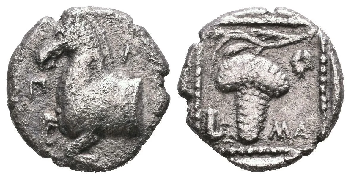 Drachma, 480 - 450 př. Kr., Přední část koně zleva, monogramy / Vinná réva ve čtverci, — 1