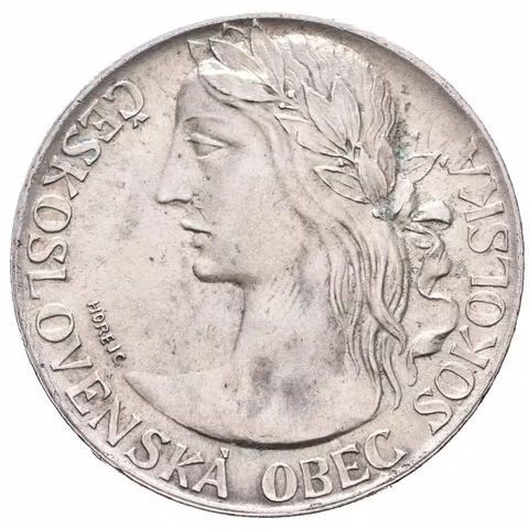 AR Medaile 1948 - Na paměť XI. všesokolského sletu v Praze. Ag 0,500 (13,95 g),